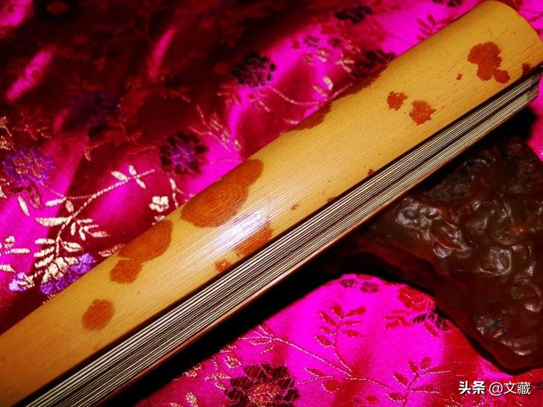 泪水凝结成斑，美丽的湘妃竹