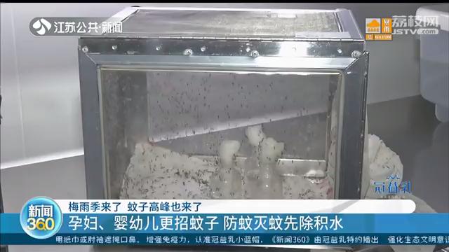 家里有宝宝夏天卧室有蚊子怎么办,这个季节蚊子多孕妇怎么办