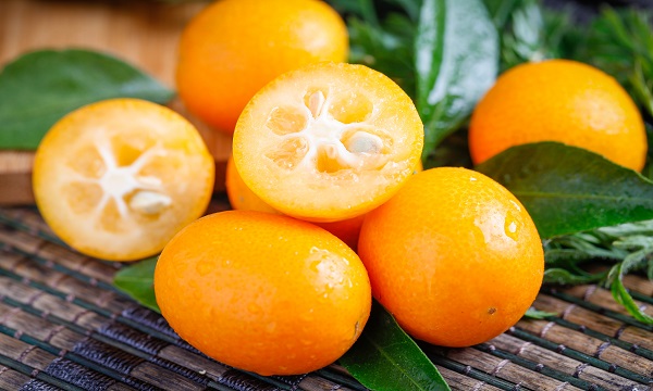 沙市有名的特产,长沙沙市镇有什么特产吗