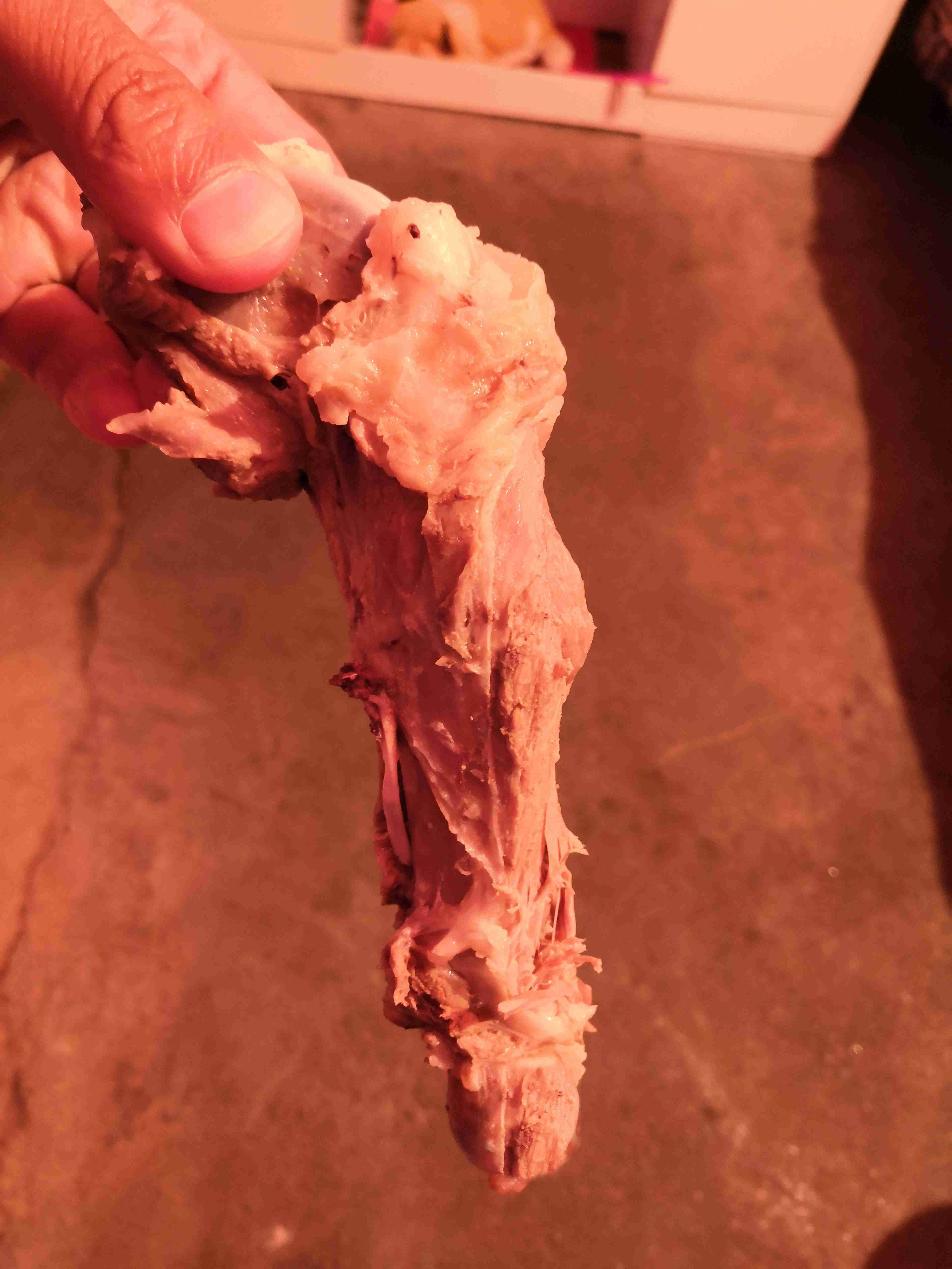 *疆新**蒙古包旅店老板，看他一天的收入多少，一个月就抵我一年工资