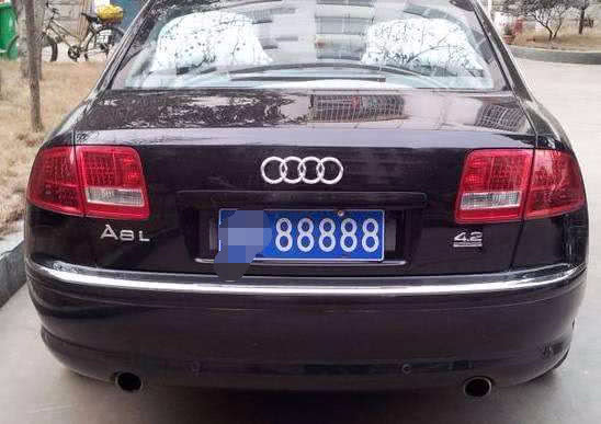 年轻小夫妻秀恩爱，车牌都是情侣号，身后车标是亮点