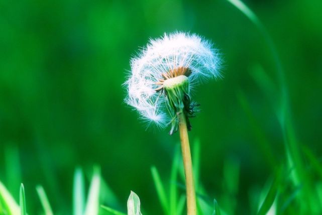 城府不深最值得交往的三大星座,这几个星座从不轻易吐露真情