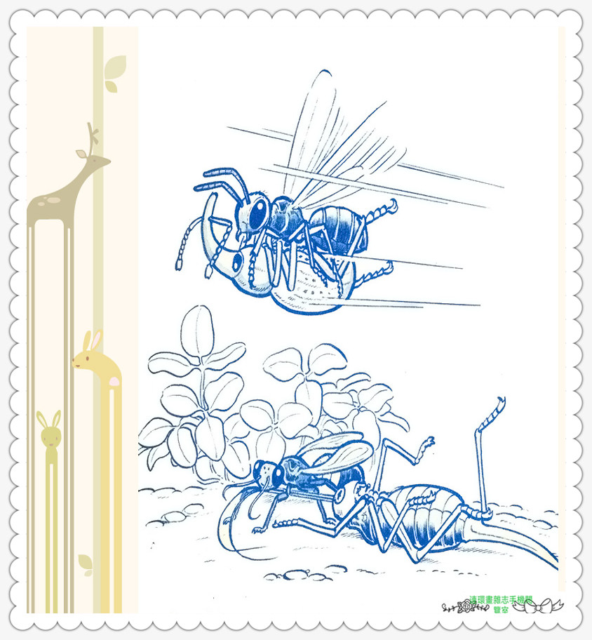 昆虫记法布尔动画片,昆虫记法布尔全套