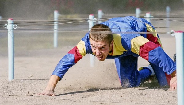 会员作品赏析,会员书法作品欣赏