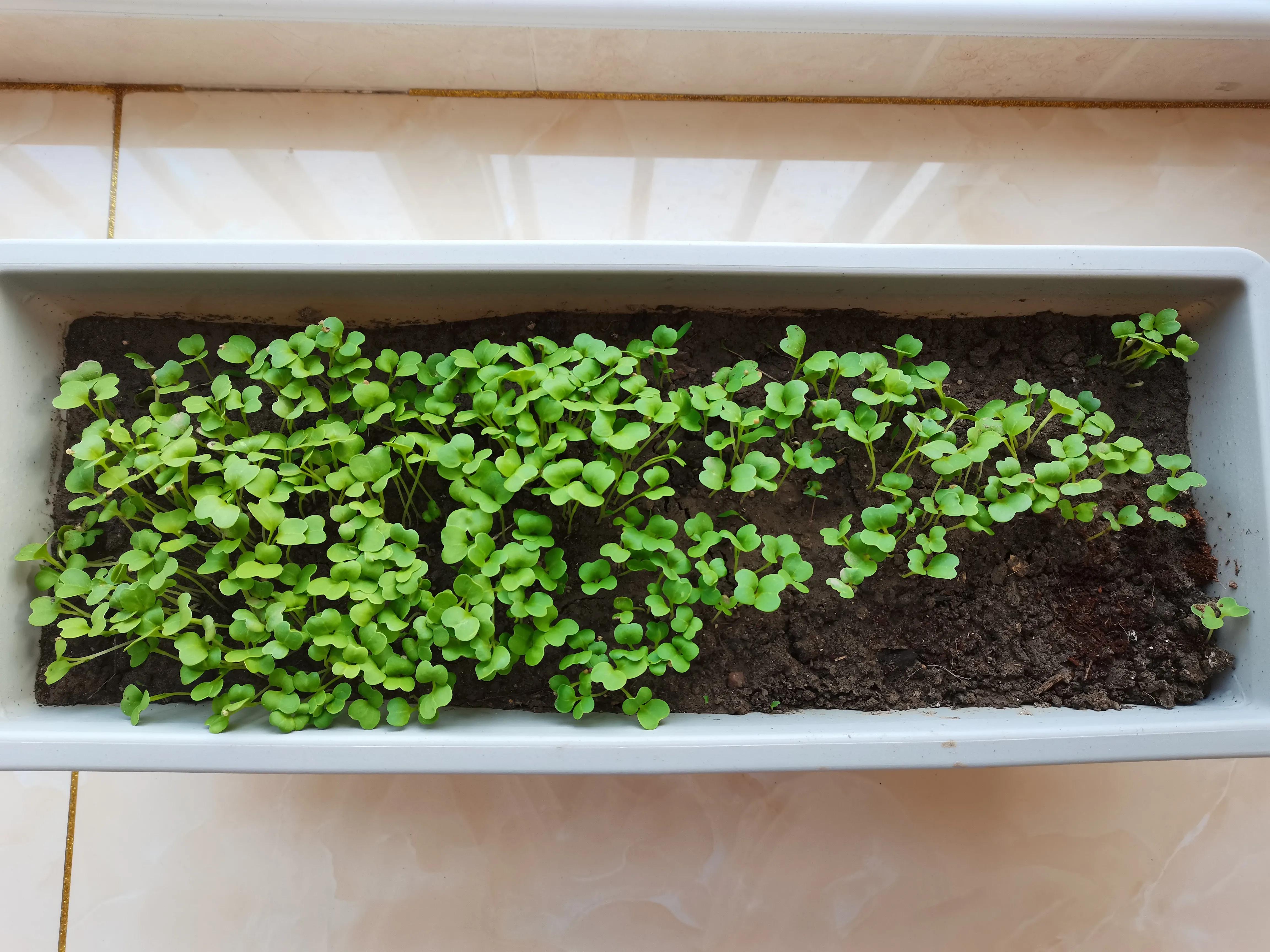 不要放弃农村的宅基地,不要放弃农村自己的宅基地