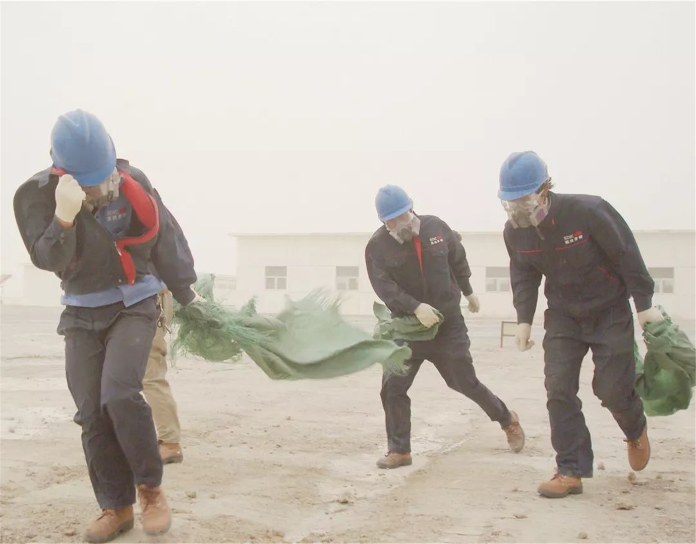 罗布泊复活后的水哪里来的,罗布泊复活率高吗