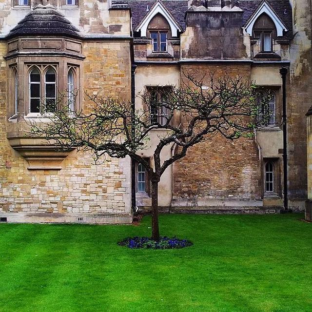 英镑上的人,1：牛顿他真有那么伟大吗？伟大在哪？