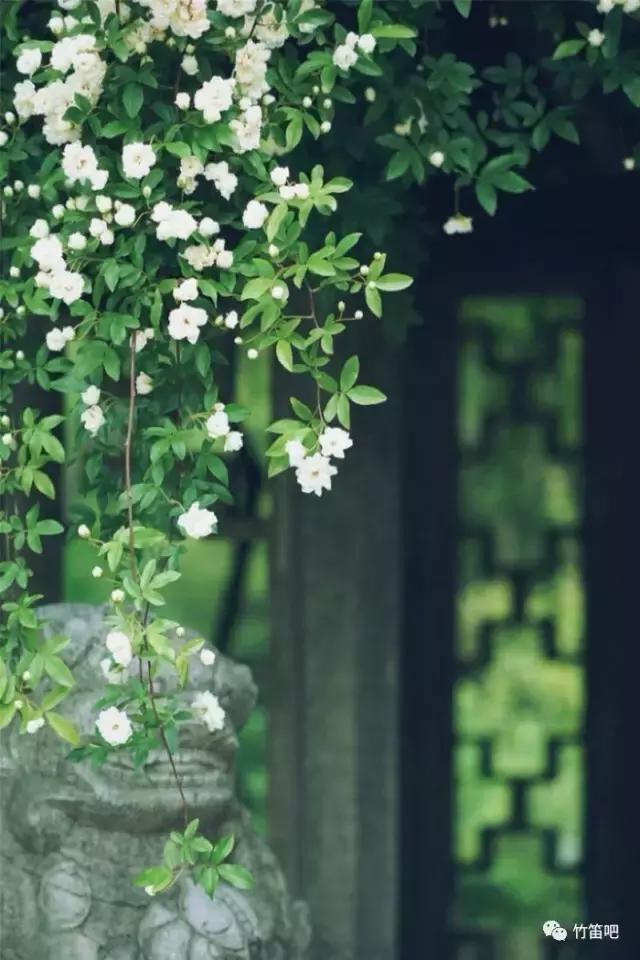 笛子俞逊发丨360°都看不够的江南美景《姑苏行》