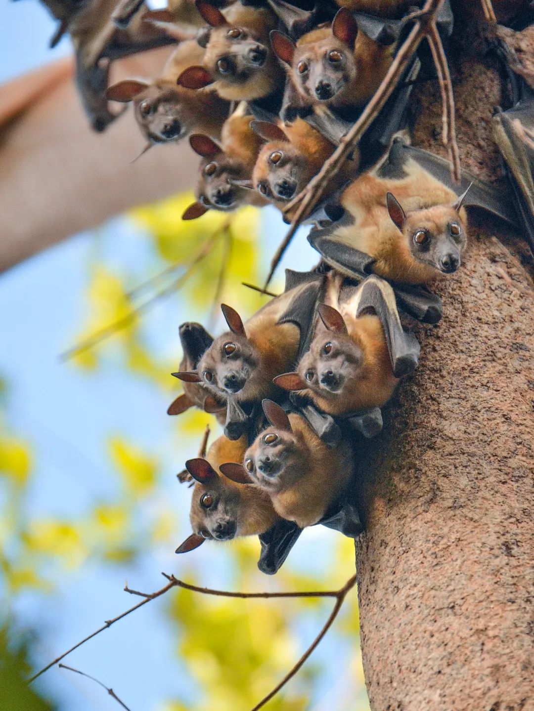 感染病毒后的168小时，你的体内都发生了什么？