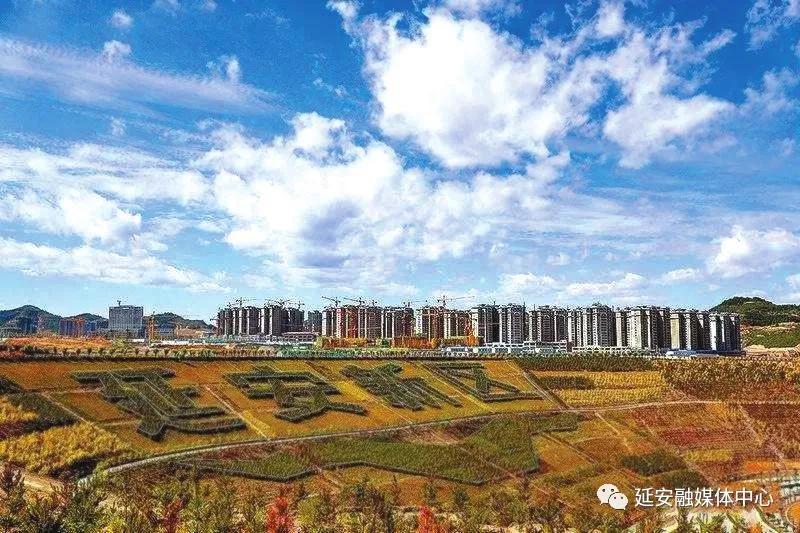 延安向全国人民交出优异答卷,延安改革创新