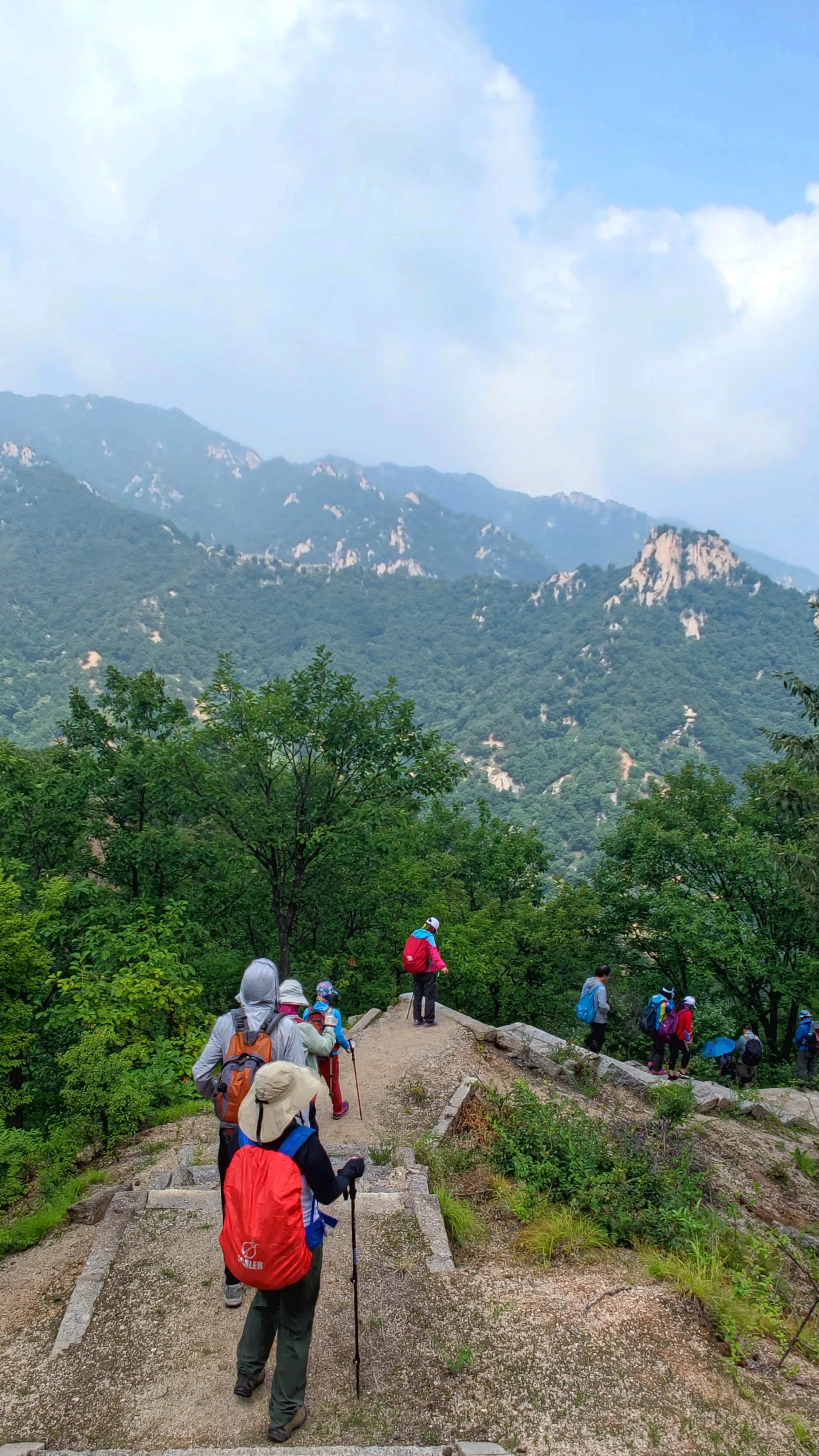 一朵花的守候——七峪沟纪行