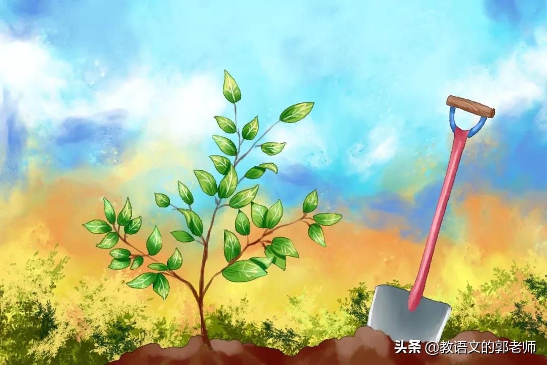 3.12植树节手抄报模板,植树节手抄报素材分享