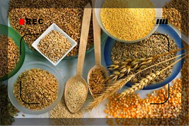 20万可以开办哪些有前景的加工厂,开一家什么小加工厂投资小见效快