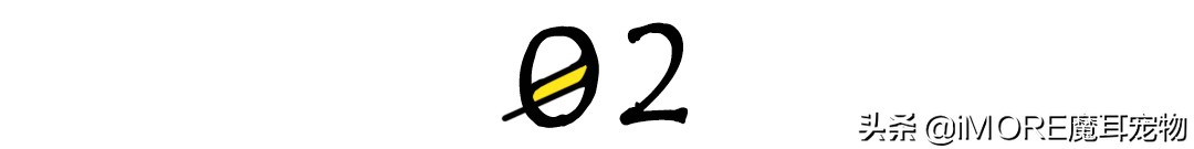 如何挑选一款适合狗狗的狗粮,怎么挑选狗狗最好的狗粮