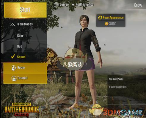 刺激战场国际服美服和日服能玩吗,刺激战场国际服美服