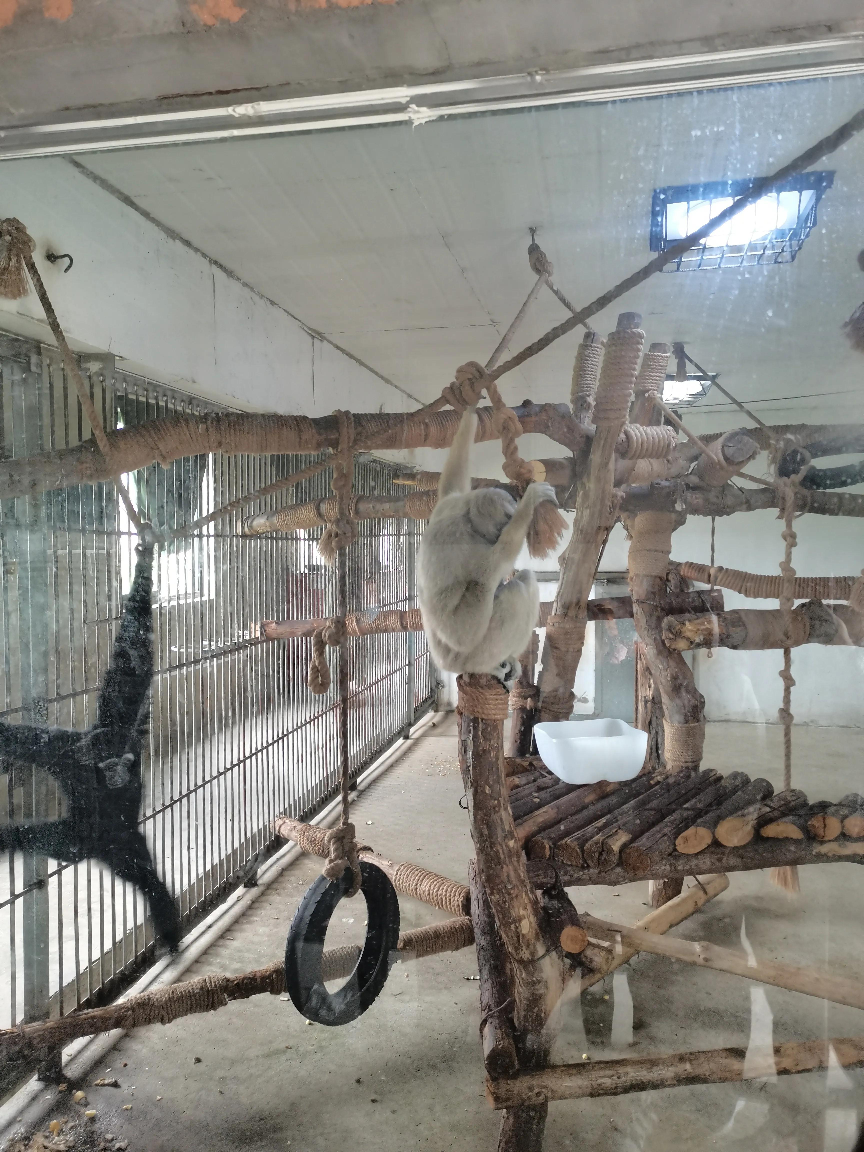 宿州火车站到宿州野生动物园,济南野生动物园和宿州野生动物园