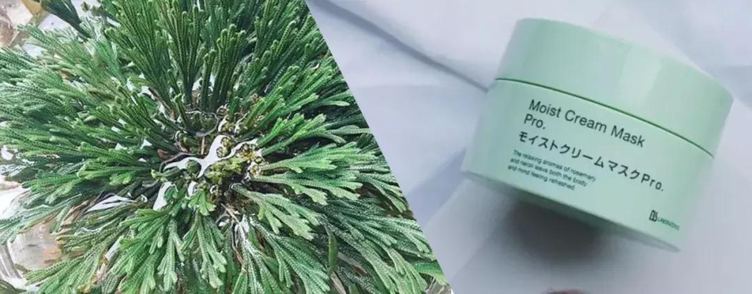 日本zeef素颜霜,日本臻白身体素颜霜