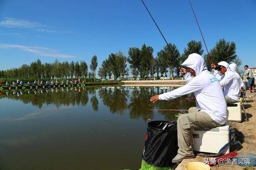 春天鲫鱼和鲤鱼在水里的生活习性,鲤鱼的饲养技术有哪些方法