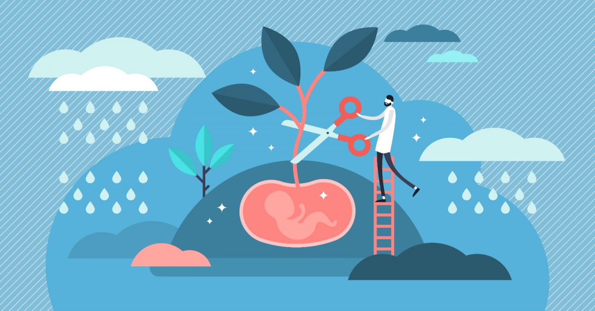 牵一发动全身什么意思,牵一发动全身的意思