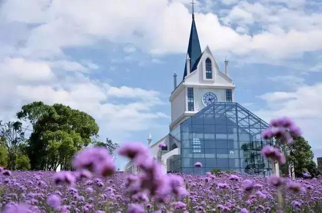 住市中心还是近郊好,住在郊区和市区的对比