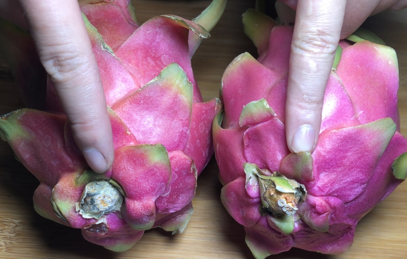 火龙果甜不甜这样挑选,挑选火龙果的时候如何判断甜不甜