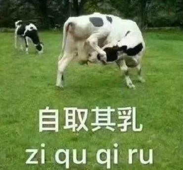 为啥鼠能排12生肖老大？先把这份拜年祝福语读懂再说