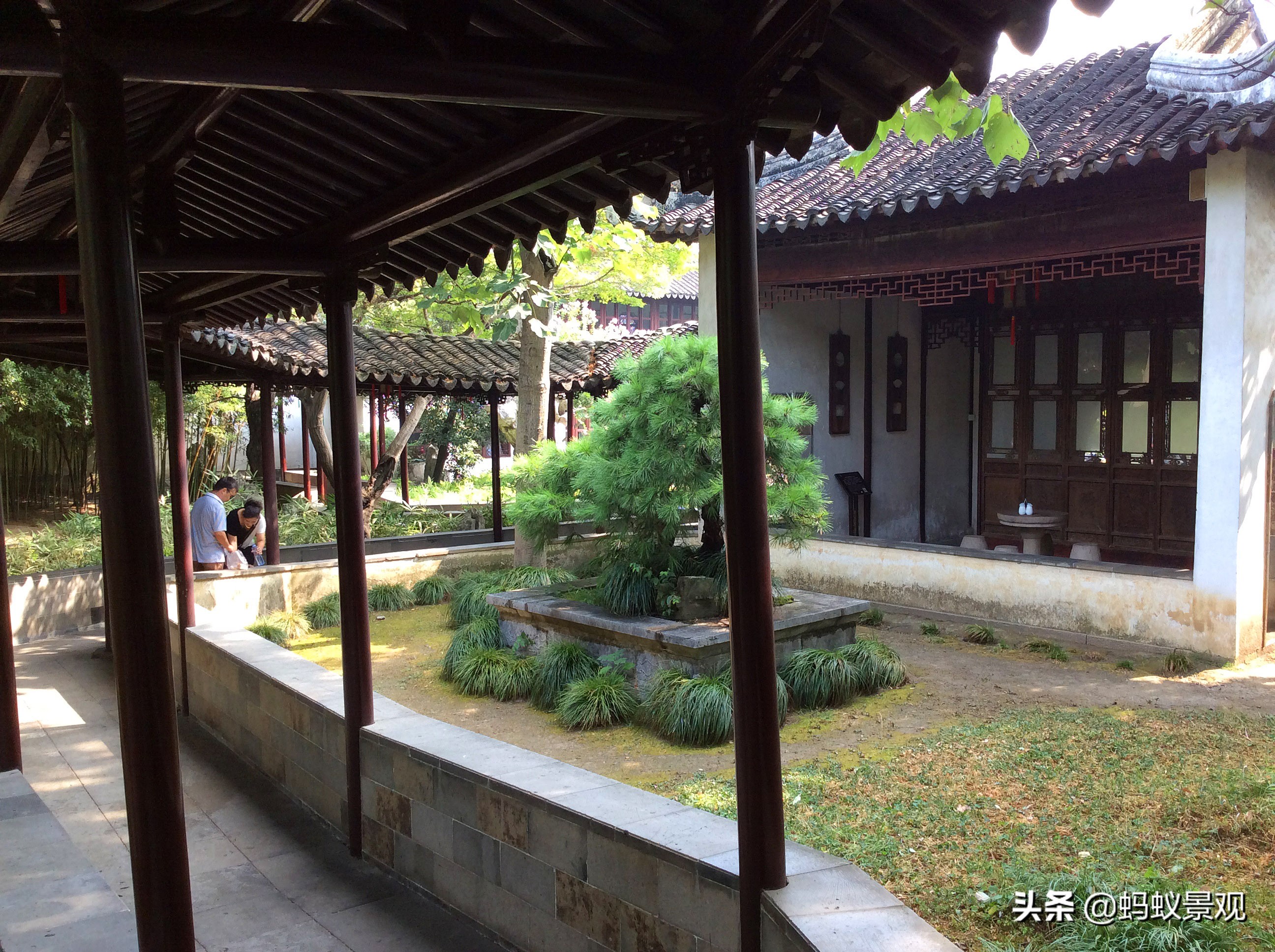 留园建筑布局照片,留园建筑景观内容