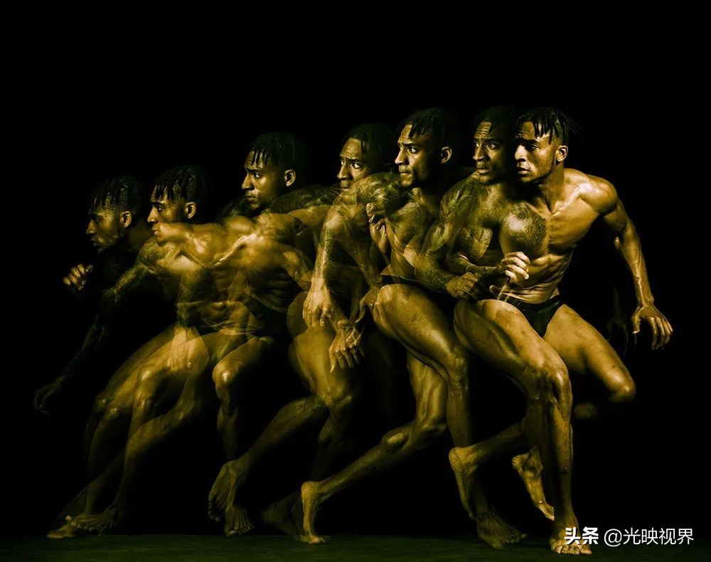 2022年度的ipa摄影大赛获奖作品,2020ippa摄影大赛奖项公布