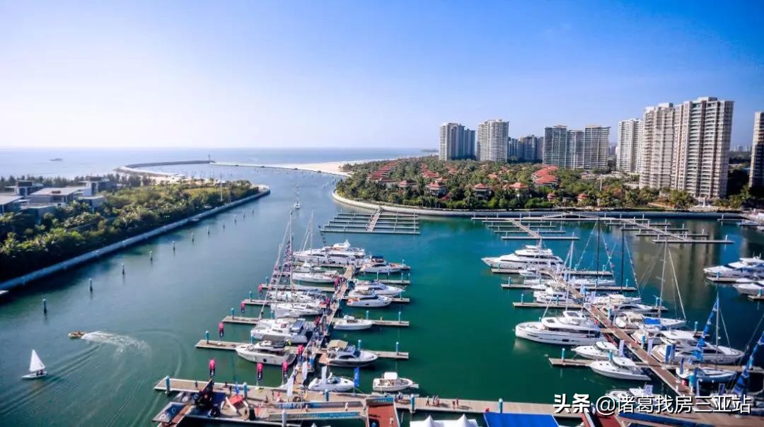 清水湾房地产优势,清水湾从哪里开始止于哪里