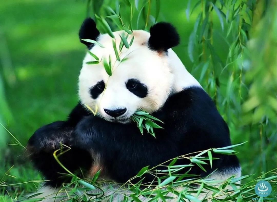 光合谷天沐温泉团购老人,光合谷天沐温泉酒店