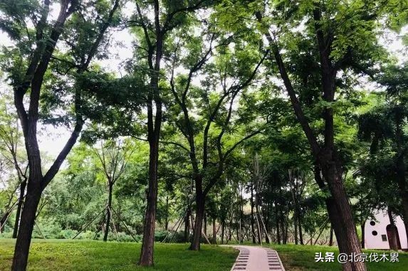 芒种旅游景点推荐,芒种至仲夏节气