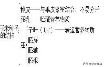 初中生物会考复习计划,初中生物会考复习资料全套