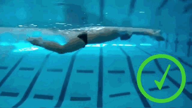 中游体育蝶泳教学视频初学者,蝶泳怎么游才能游得最快