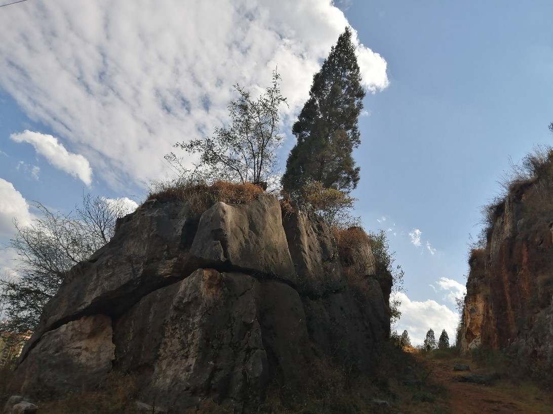 徐霞客游记完整视频,徐霞客游黄山后记全文