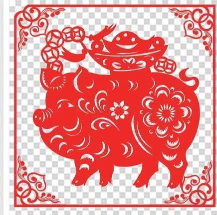 从丁亥到己亥—武昌水果湖中学六六届高三（1）班同学集会本命年