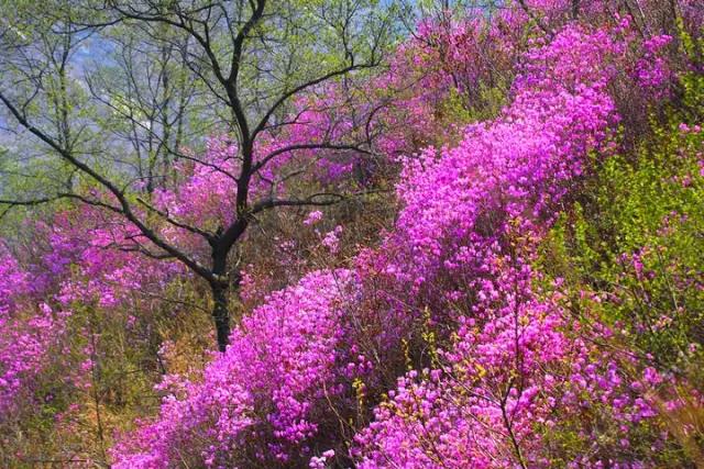 辽宁旅游景点推荐3天自由行,辽宁学生旅游景点推荐