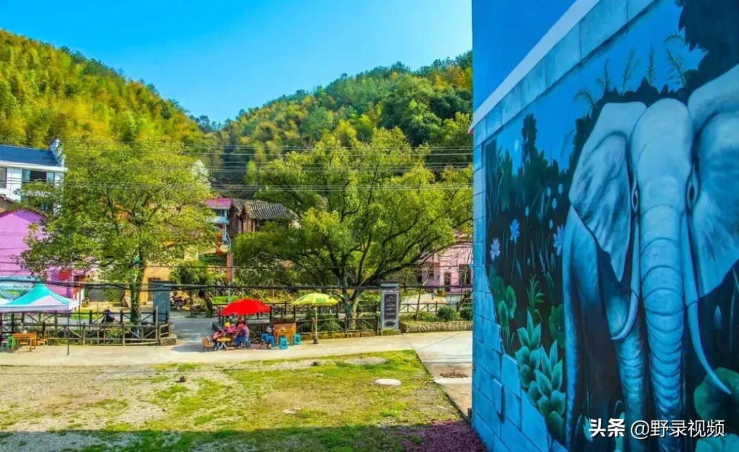 春天来了，这个四月请开启小情侣打卡模式，单身狗们千万不要点