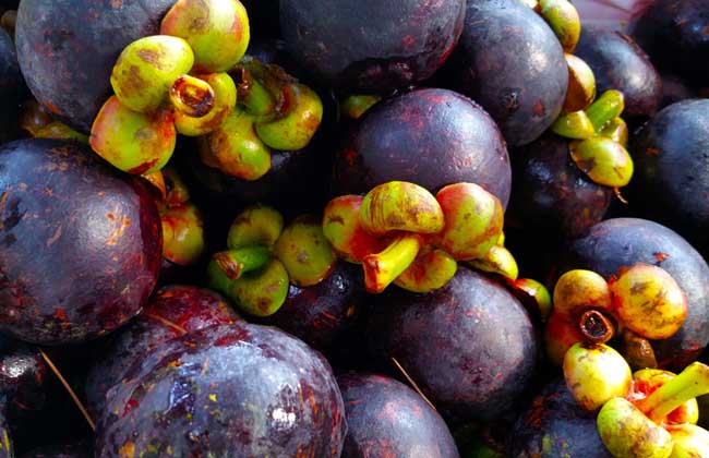 山竹为什么被称为果中皇后,山竹水果什么人适合吃