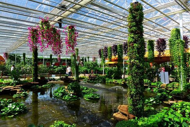 温室大棚有哪些优点,蔬菜大棚和温室大棚有什么不一样