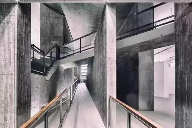 最美银杏秋景自驾攻略,杭州银杏树旅游攻略