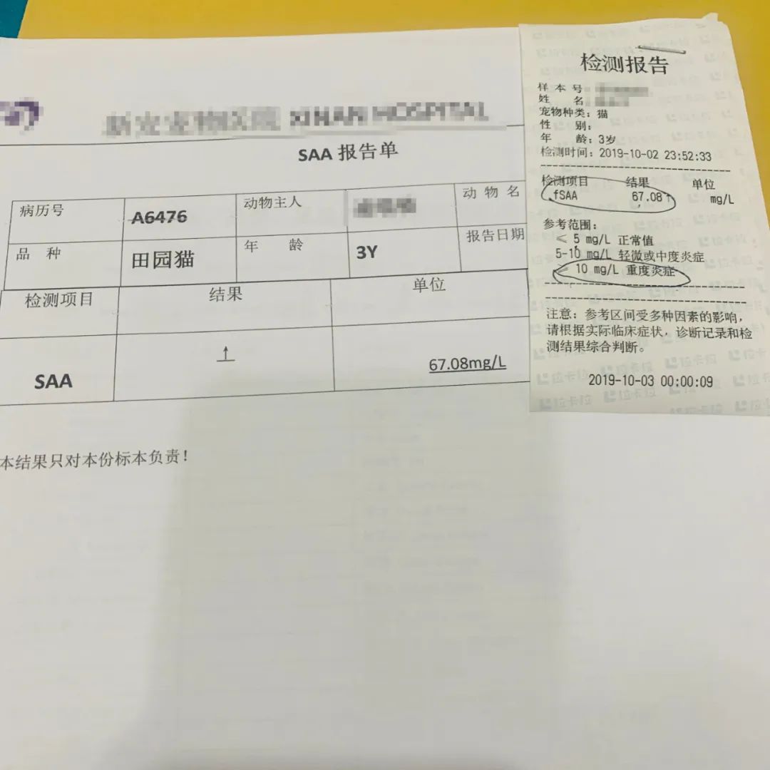 小佩宠物饮水机漏水,小佩饮水机漏电对宠物有害吗