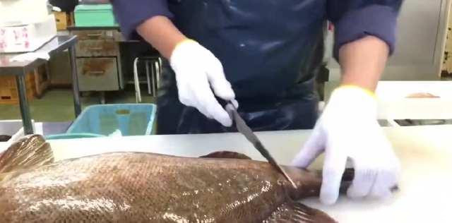 月薪三万的日本顶级厨师，处理“极品大石斑”，你觉得如何？