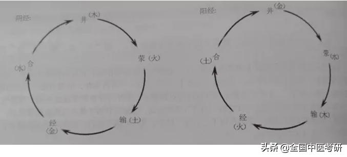 2021中医考研：针灸学之经络腧穴各论（一）