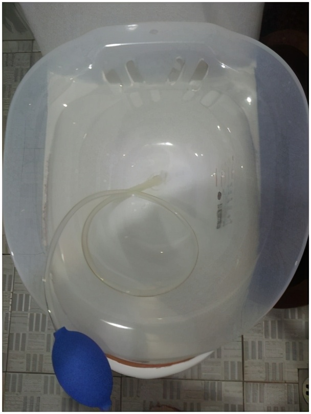 什么是痔疮？胡适有话说