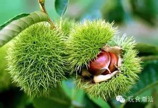 鐜╅鐣,鐜╅姹曞ご