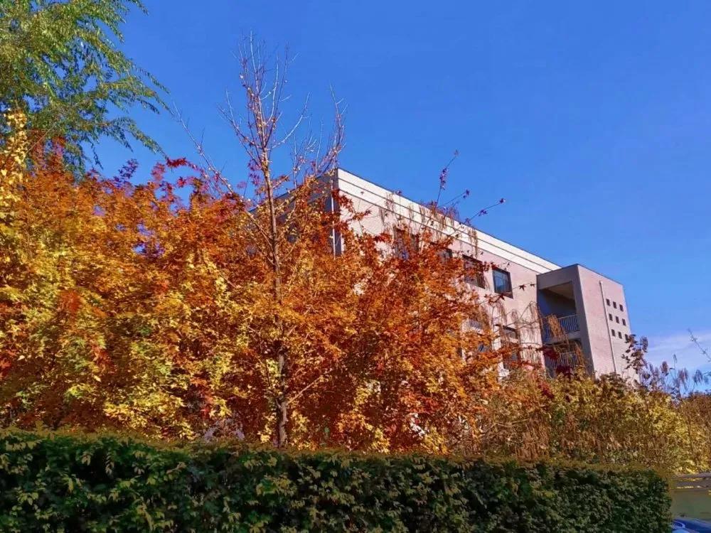 辽宁中医药大学杏林学院有独卫吗,辽宁中医药大学杏林学院属于3+2吗