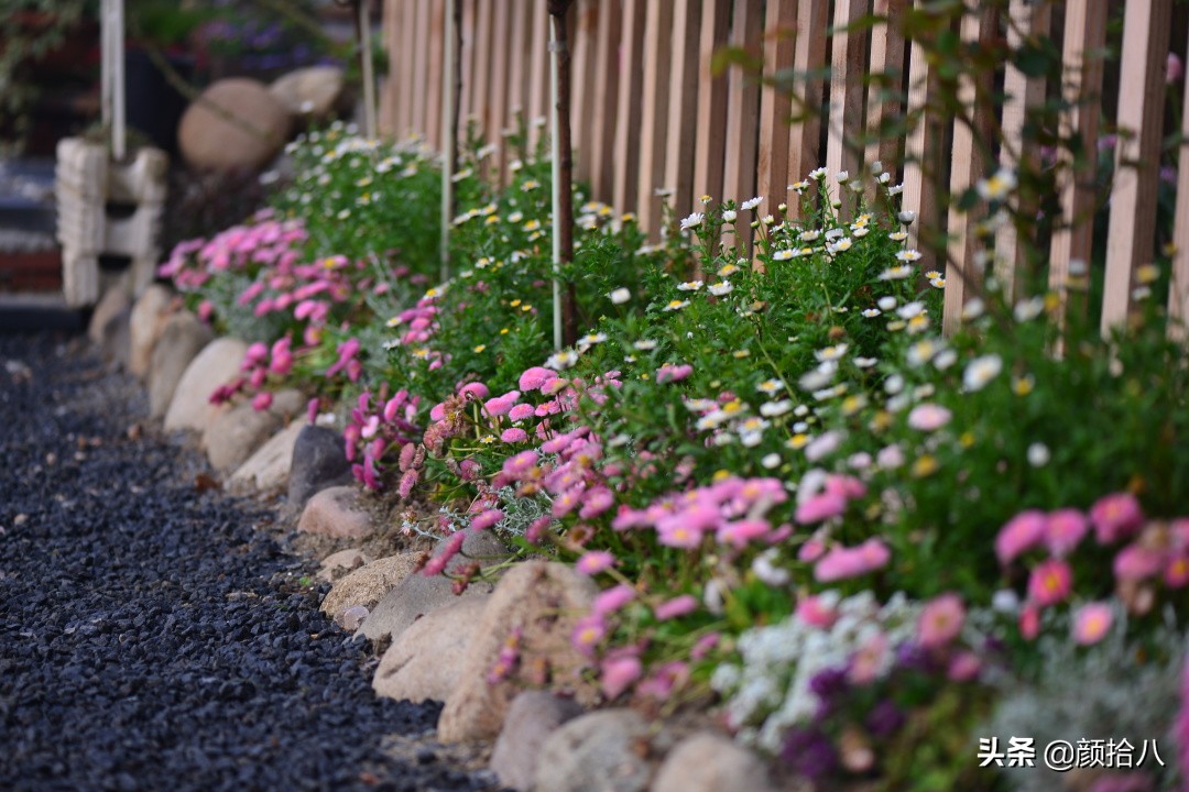 愿时光静止,愿时光静止在这一刻