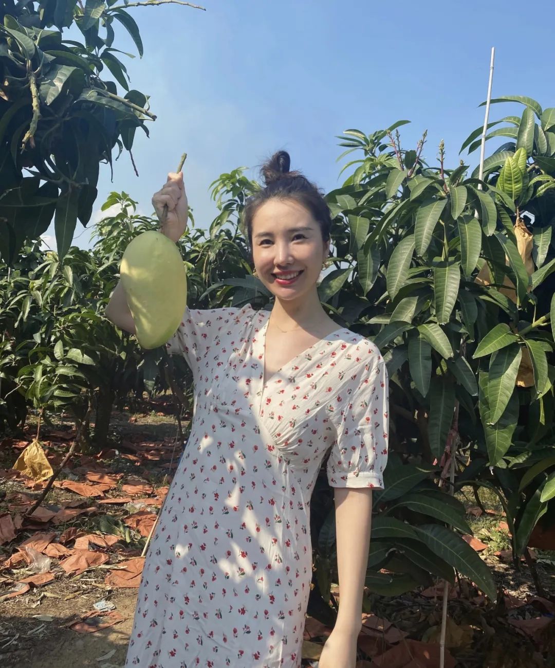 张大奕的穿搭,张大奕穿衣风格