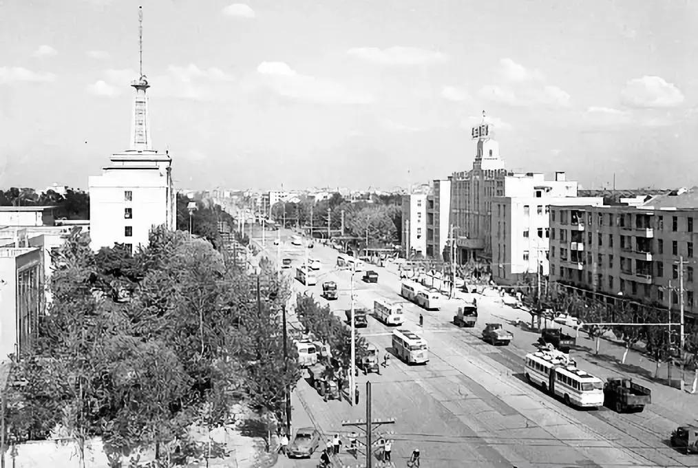 这个“弄潮儿”为何如此充满活力？