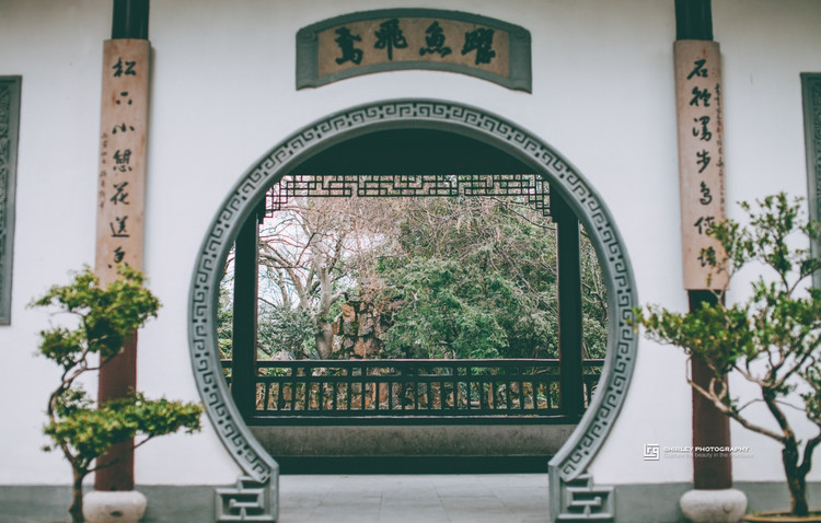 安藤忠雄建筑细节作品集,安藤忠雄代表作品介绍图文